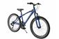 Rower Kands 24 Lorenzo r14' niebieski SHIMANO w super cenie na komunię r-24