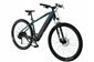 ROWER KANDS 29 HOLK E-BIKE MTB AM CUES 3020 1X9 SPEED 250W 36V 19' TURKUSOW