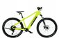 ROWER KANDS 27,5 HOLK E-BIKE MTB AM CUES 3020 1X9 SPEED 250W 36V 17' SELEDY